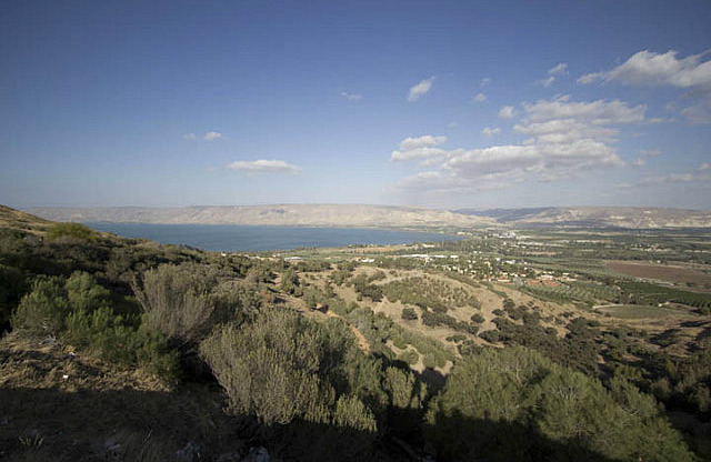Southern Galilee (Looking East) 