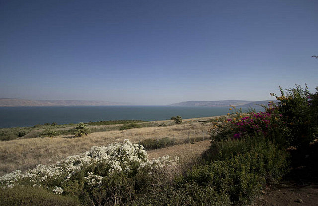 Looking South Toward Galilee
