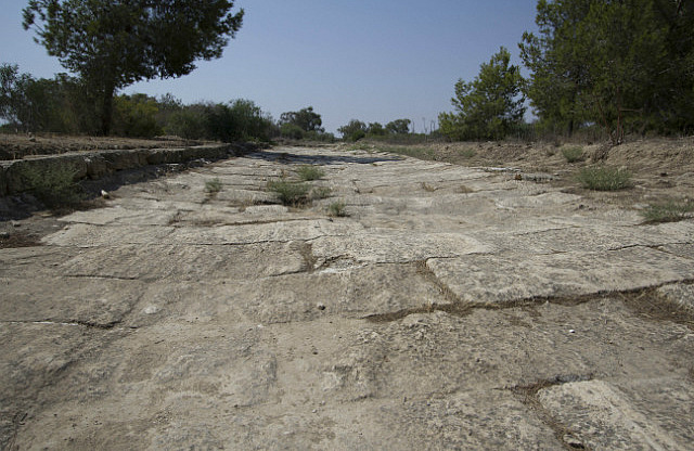 Main Road Through Salamis