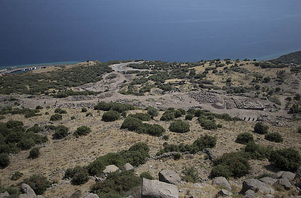 Overview of Assos