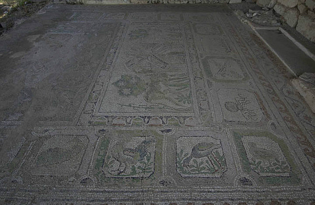 Floor Mosaic of Basilica A