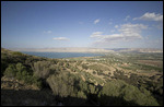 Southern Galilee (Looking East) 