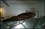 1st Century Boat