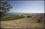 Hill Side from Atop the Mt. of Beatitudes
